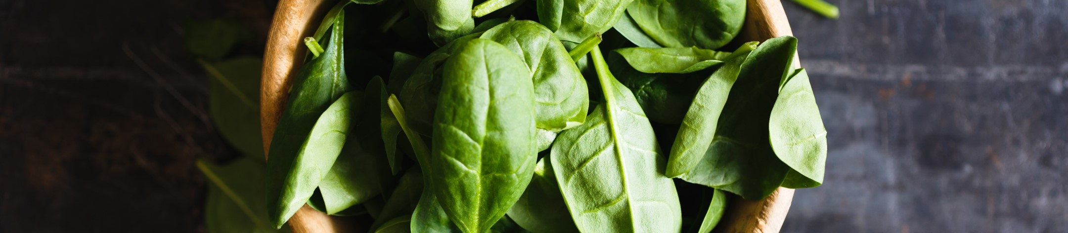 dietetyczne kroki wrocław logo